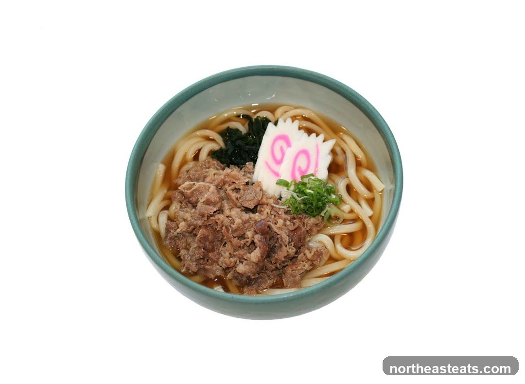 Beef Udon Soup