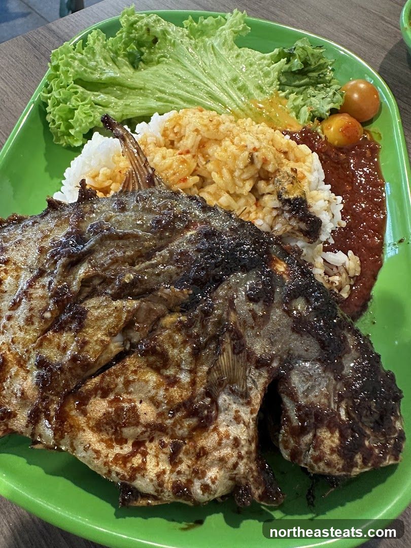Grilled Fish with Rice and Salad