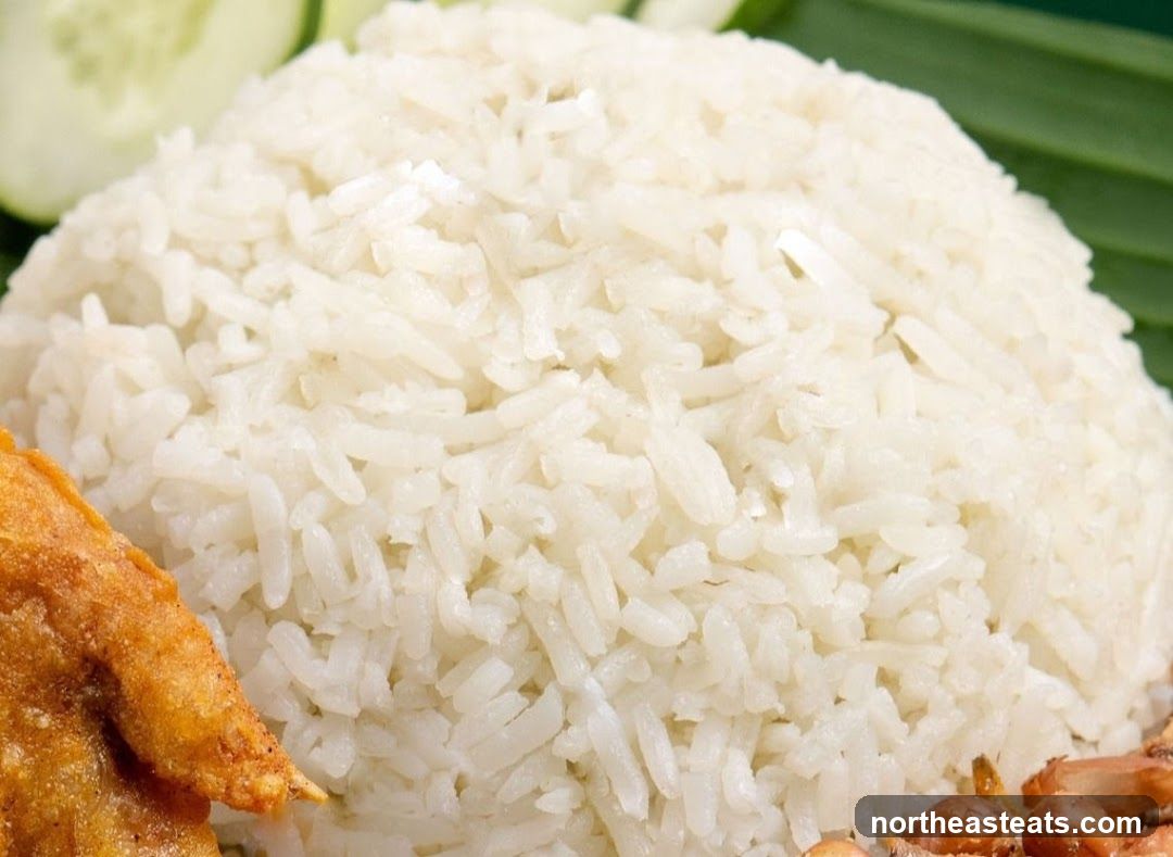 Nasi Lemak