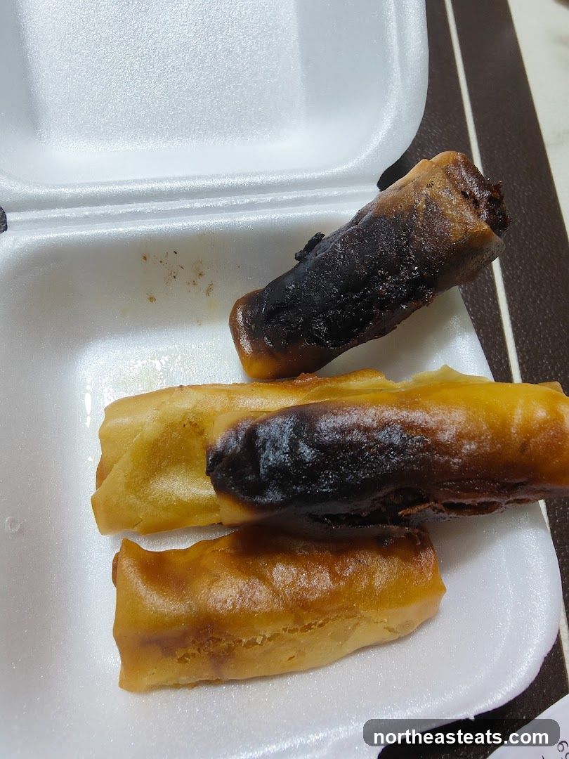 Burnt Spring Rolls