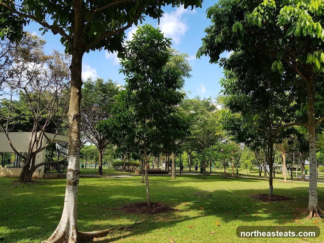 Park Scene
