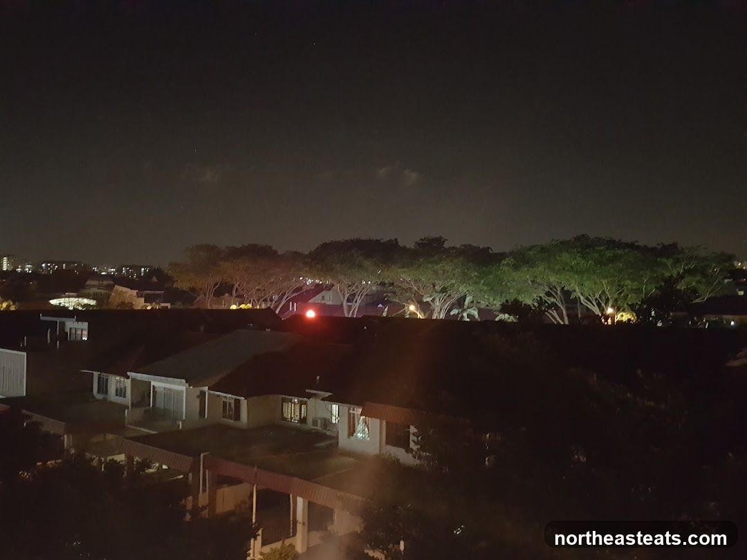 Night view of residential area with trees