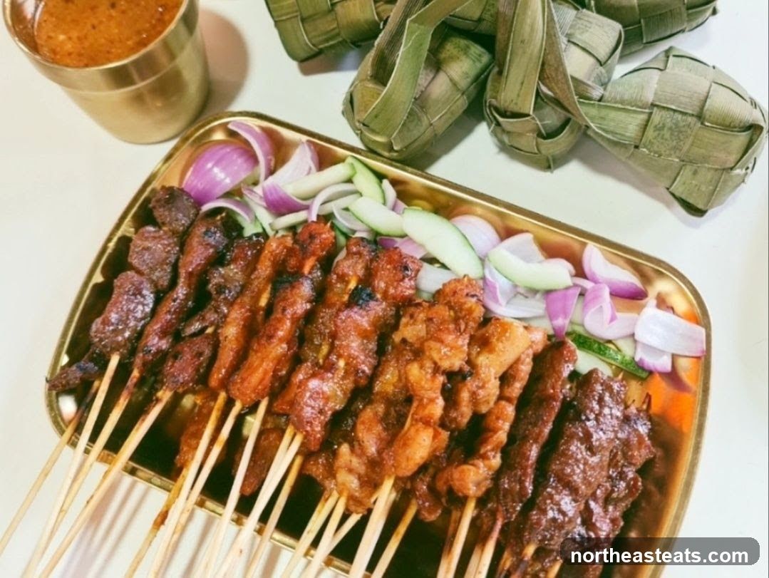 Wang Da Shen Chicken Wing & Satay