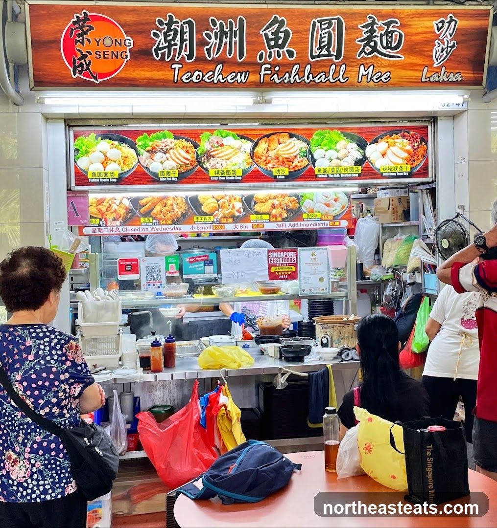 Yong Seng Teochew Fishball Noodle 荣成潮州鱼圆面