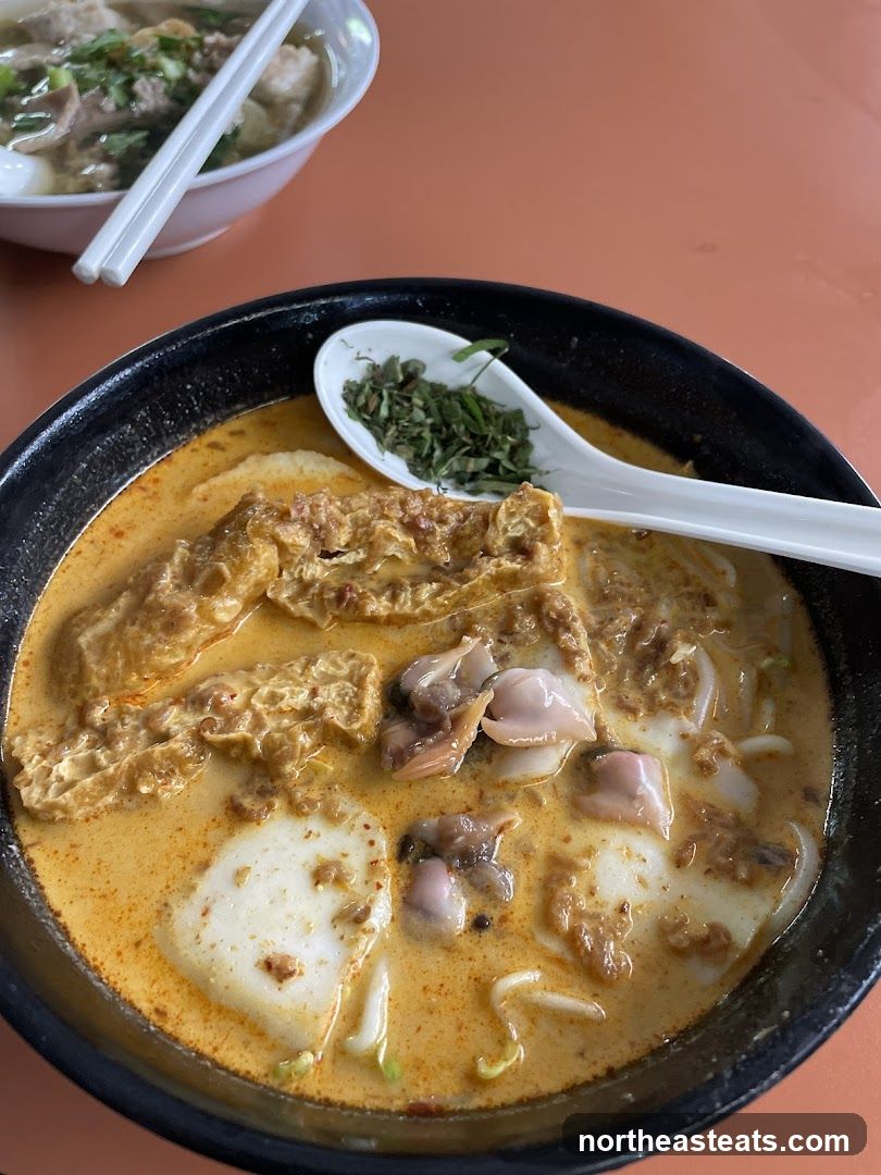 Laksa and Noodle Soup
