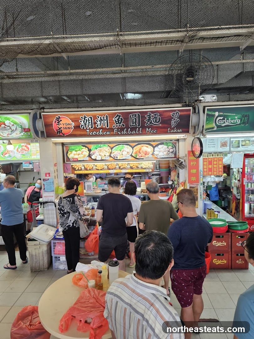 Yong Seng Teochew Fishball Noodle 荣成潮州鱼圆面