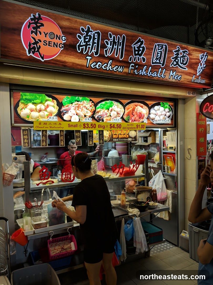 Yong Seng Teochew Fishball Noodle 荣成潮州鱼圆面