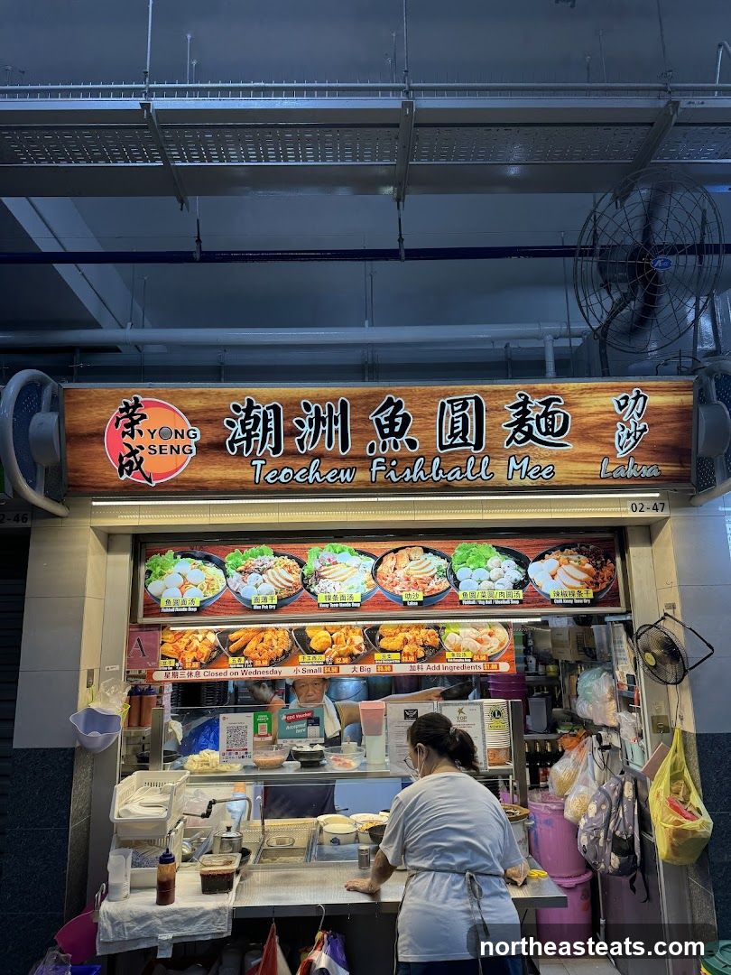 Yong Seng Teochew Fishball Noodle 荣成潮州鱼圆面