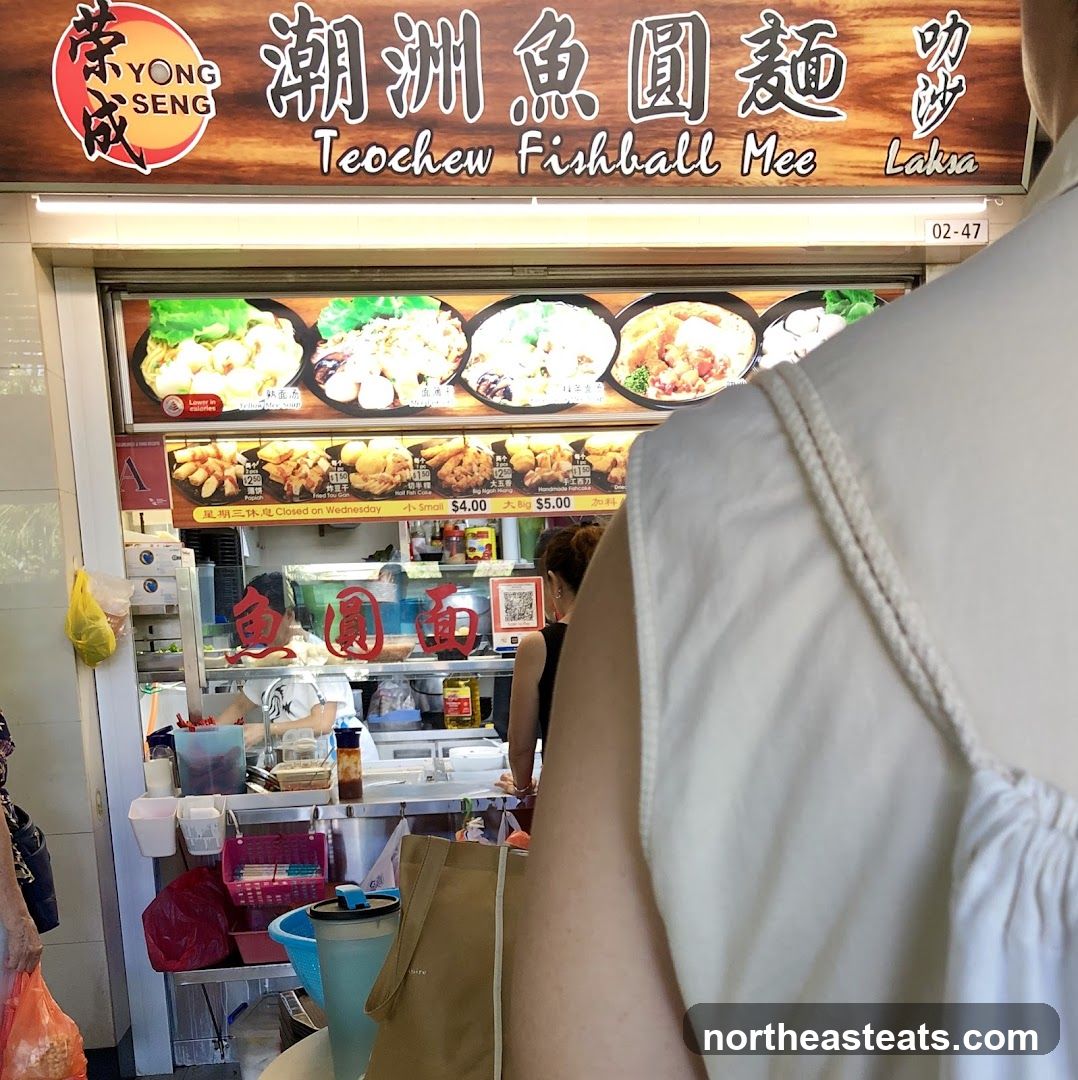Yong Seng Teochew Fishball Noodle 荣成潮州鱼圆面