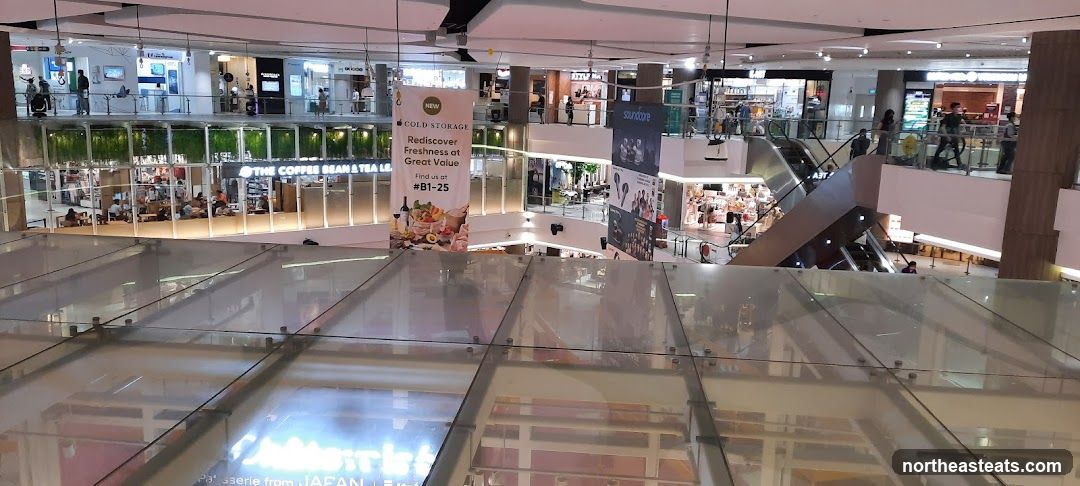 Mall Interior with Shops and Escalators