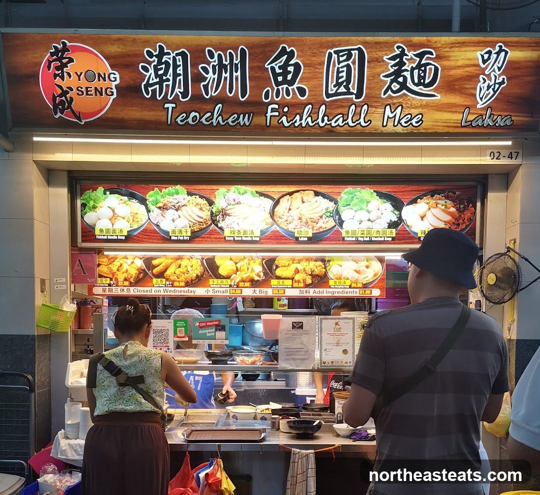 Yong Seng Teochew Fishball Noodle 荣成潮州鱼圆面