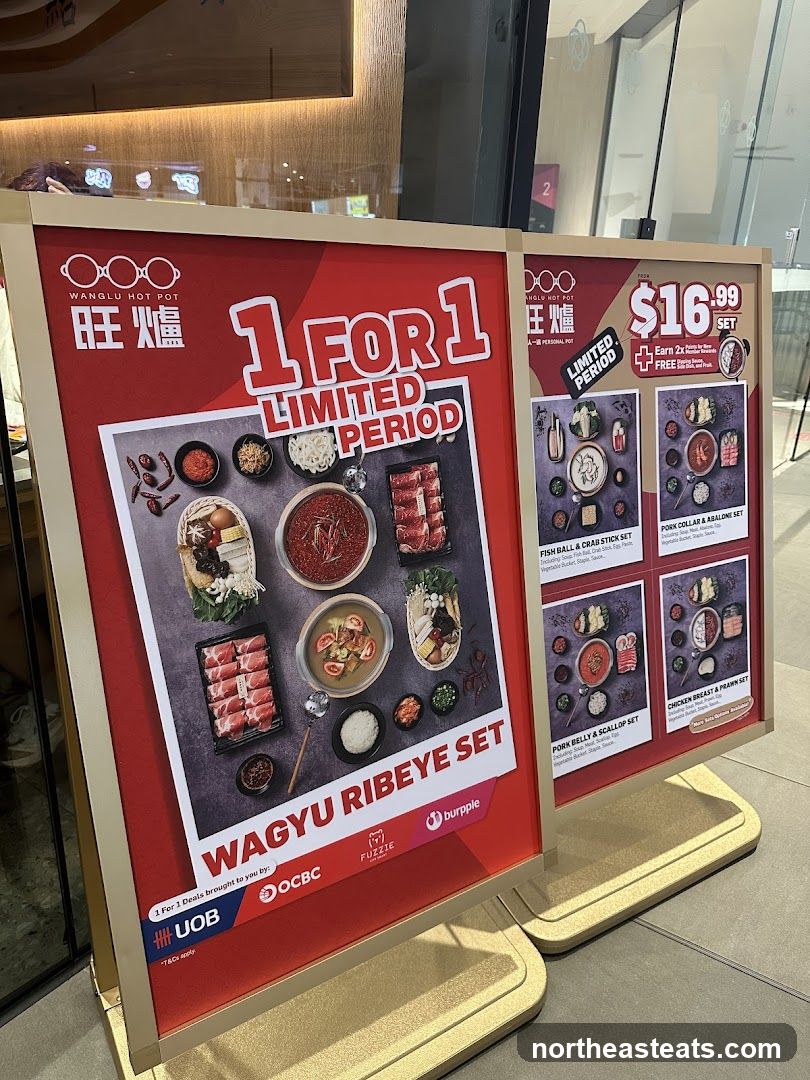 Wanglu Hot Pot Promotions