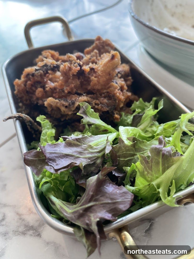 Fried Calamari with Salad