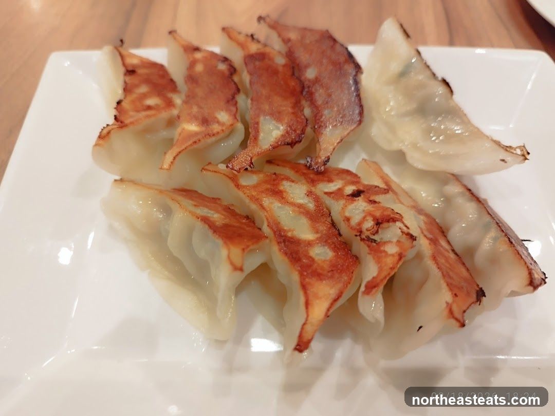 Pan-fried dumplings