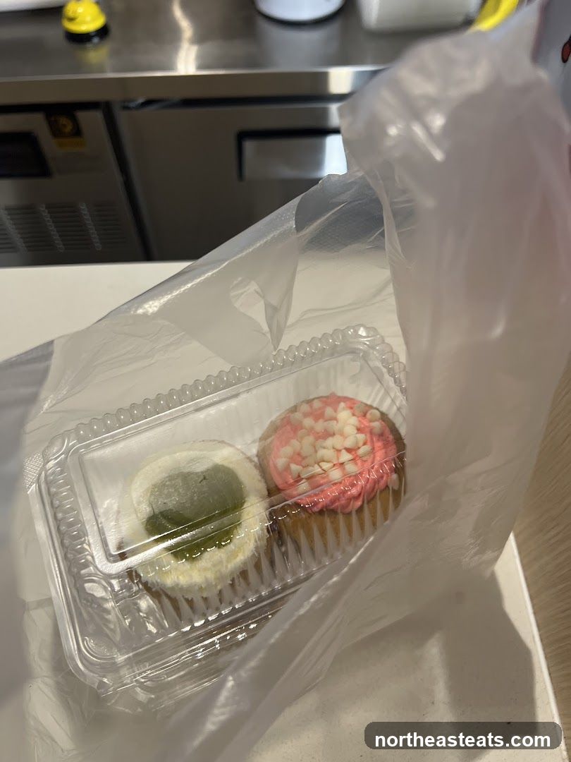 Two Cupcakes in a Plastic Container