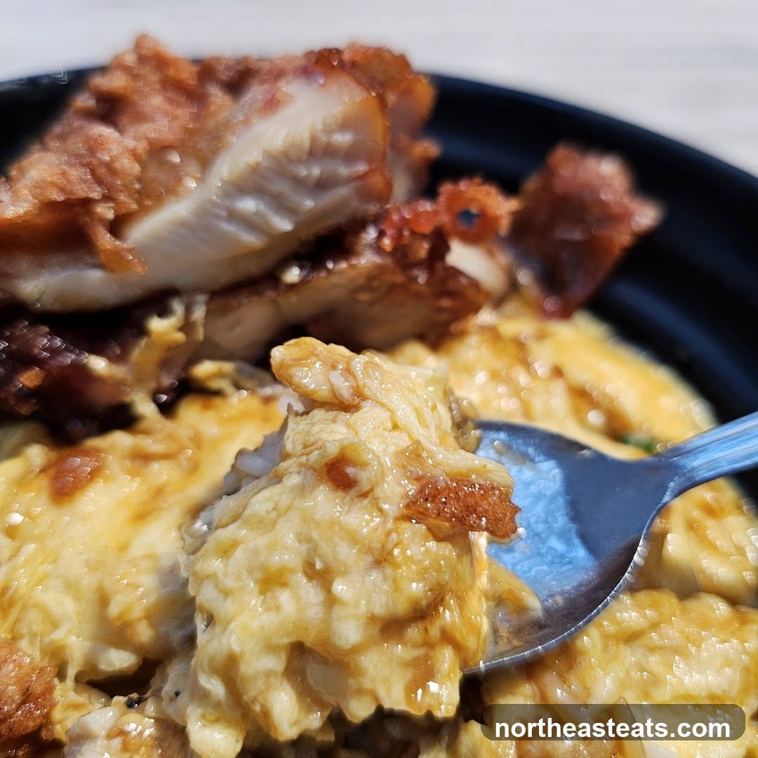 Chicken and Egg Rice Bowl