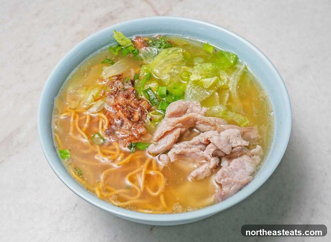Noodle Soup with Pork and Vegetables