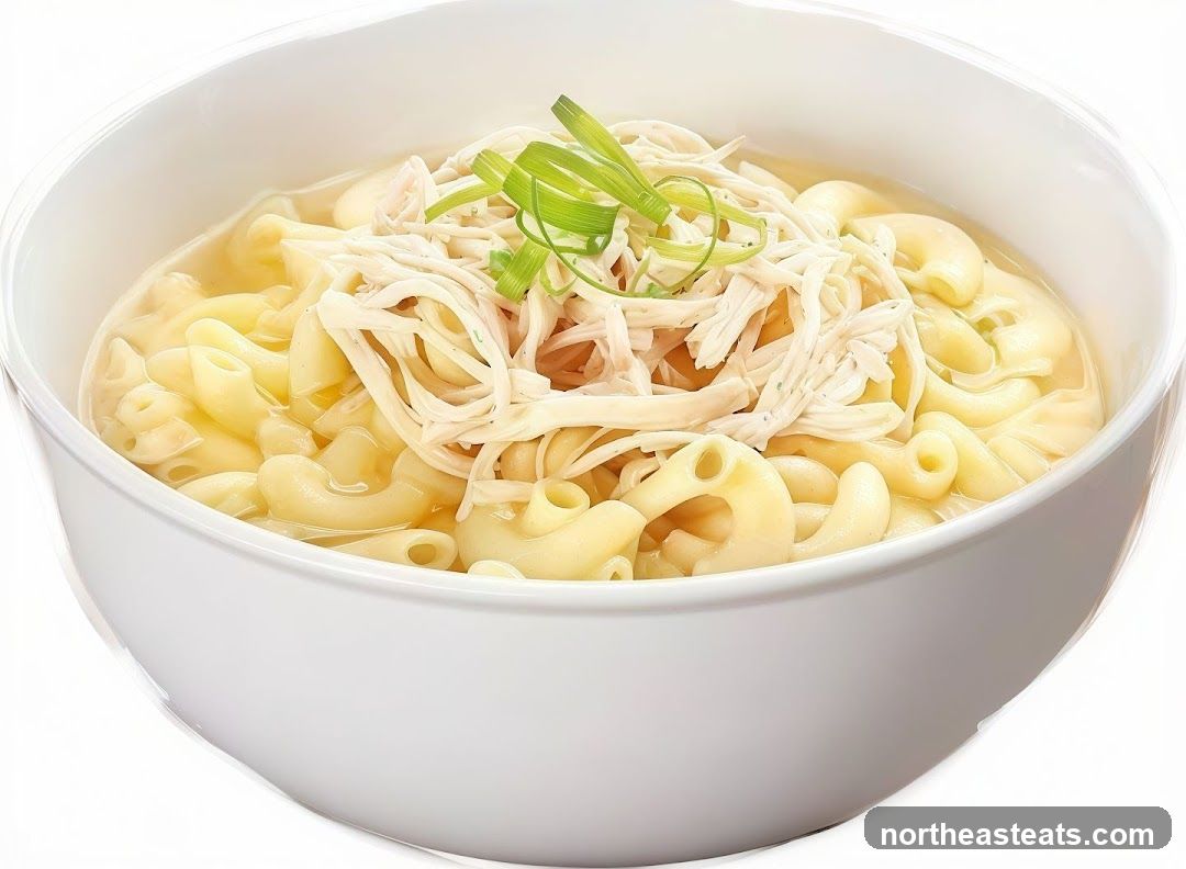 Chicken Noodle Soup