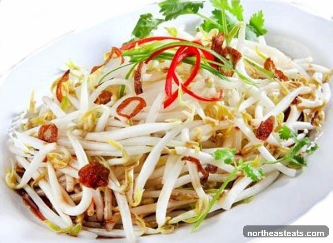 Bean Sprout Salad