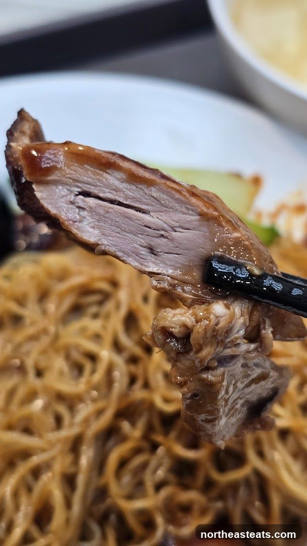 Close-up of Duck Meat with Noodles