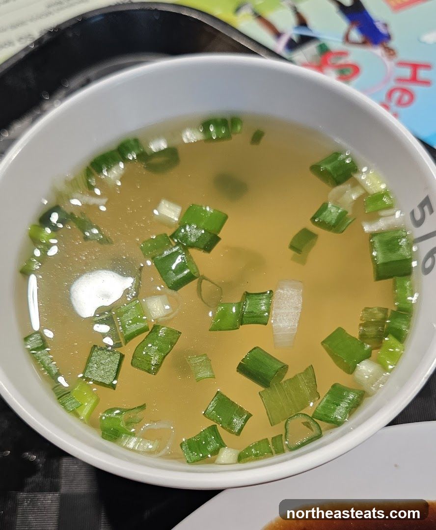 Bowl of Soup with Green Onions
