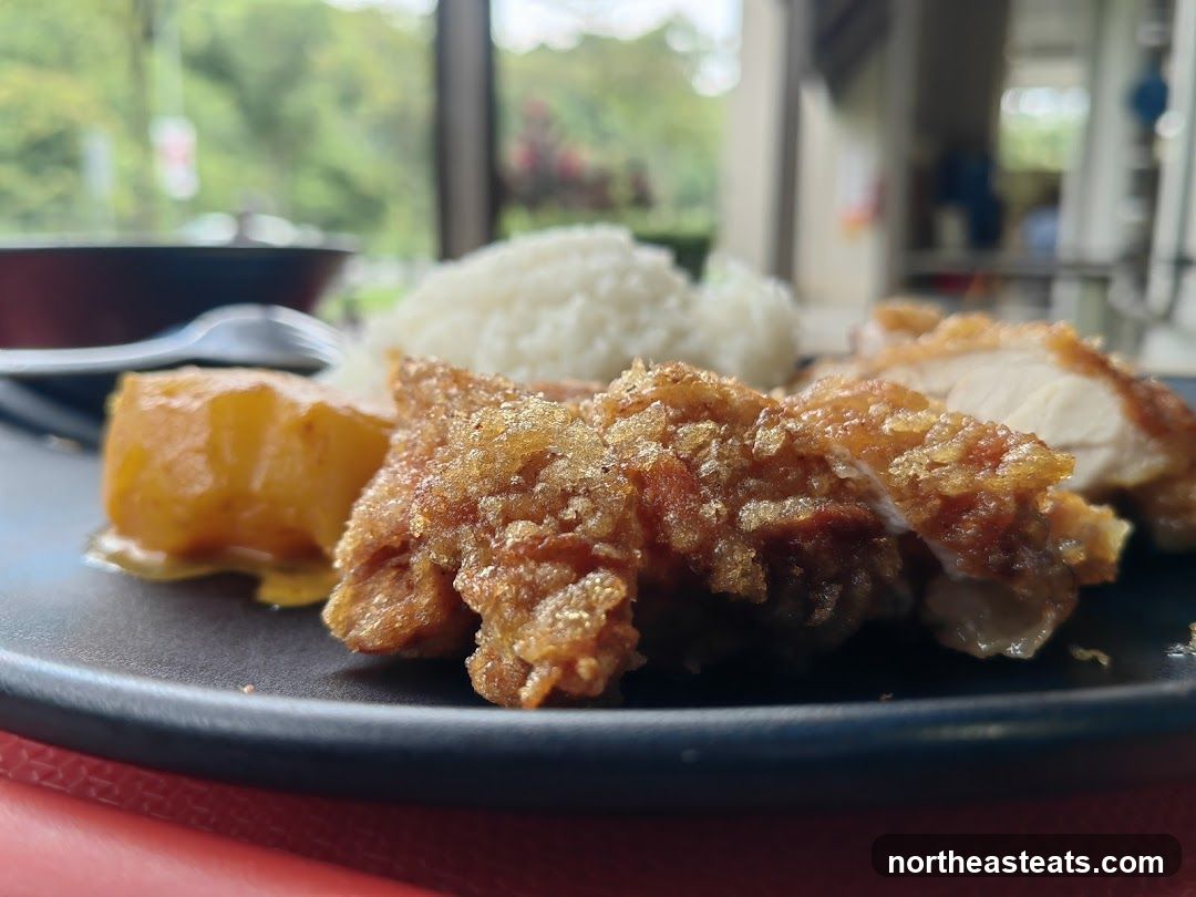 Fried Chicken Meal