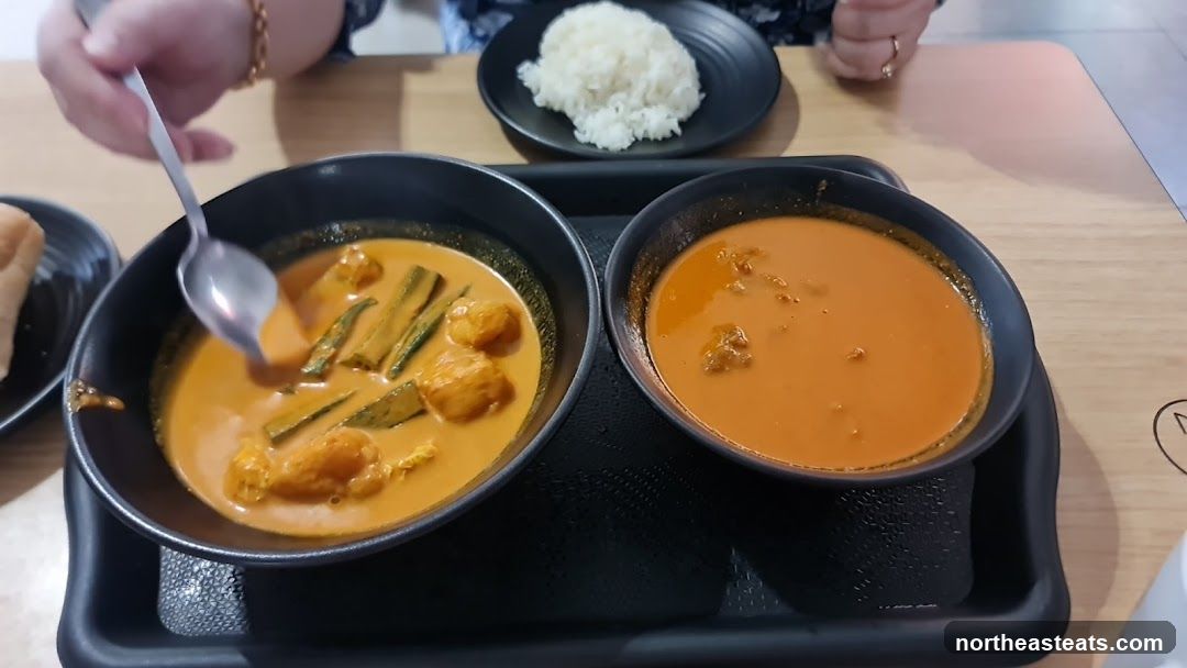 Curry Dishes with Rice