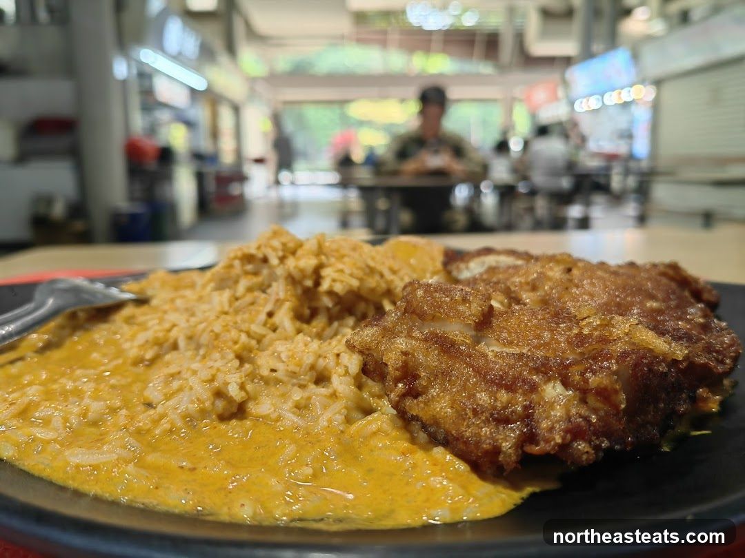 Fried Chicken with Rice and Curry