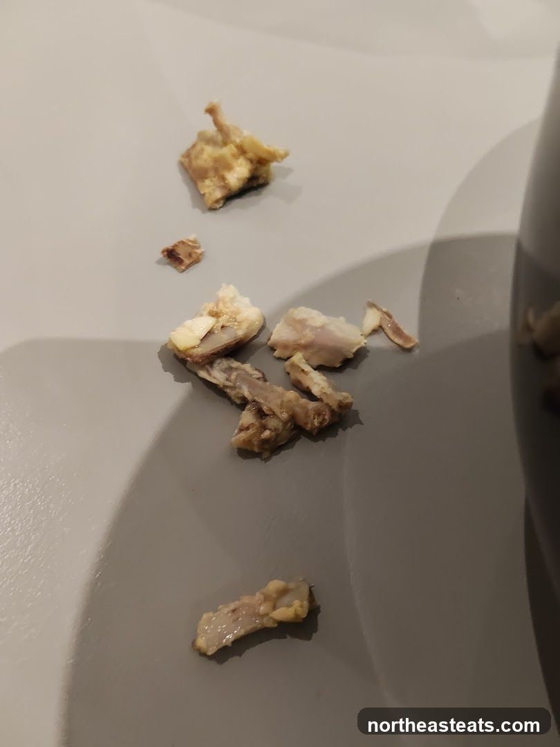 Leftover Food Scraps