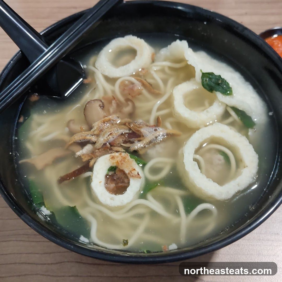 Noodle Soup