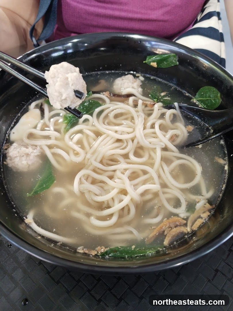 Noodle Soup with Meatballs