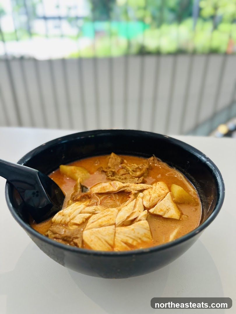 Curry Noodles