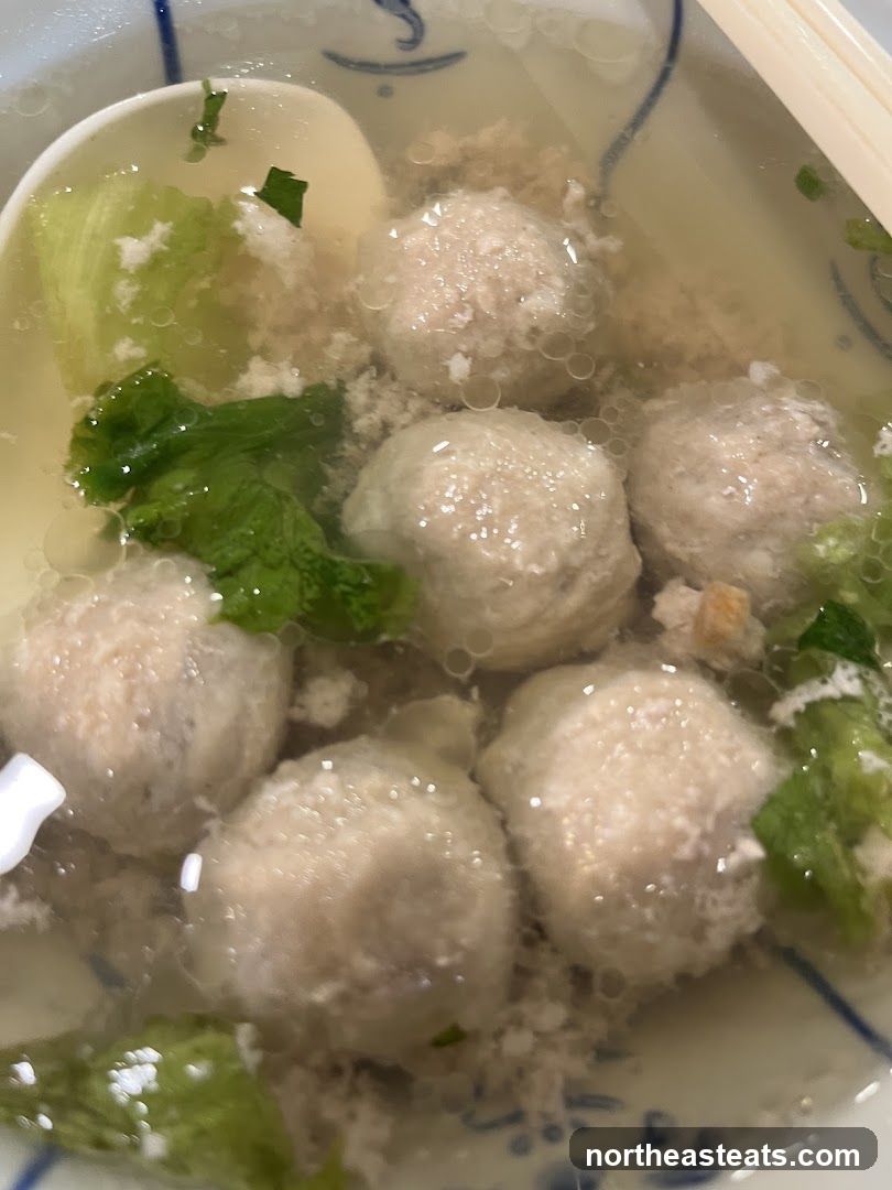 Meatball Soup