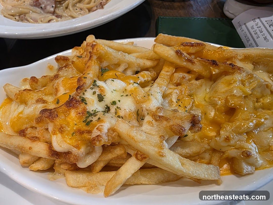Cheese Fries