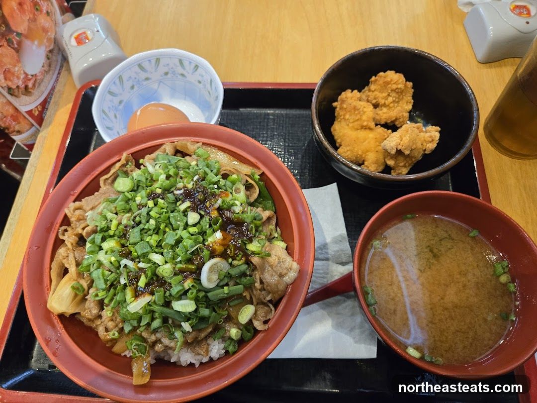 Japanese Beef Bowl Meal