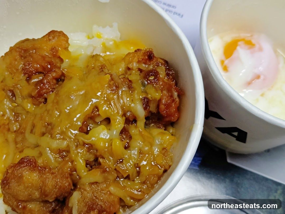 Chicken and Rice Bowl with Egg