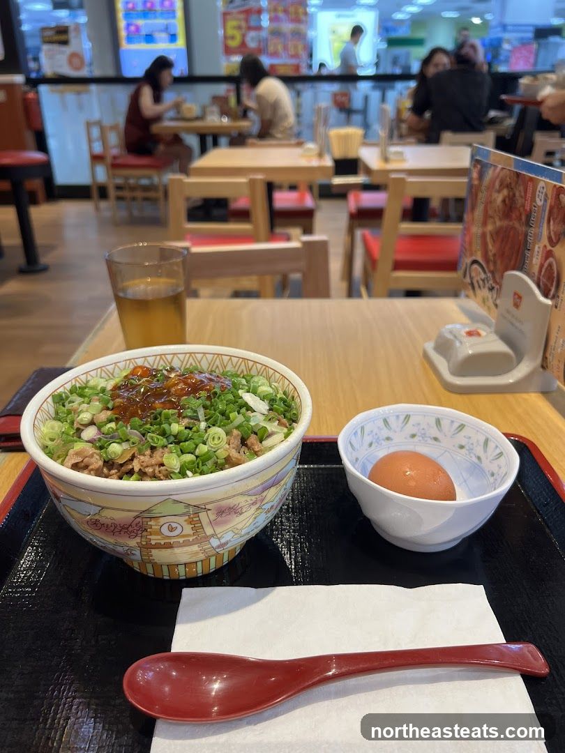 Japanese Beef Bowl Meal