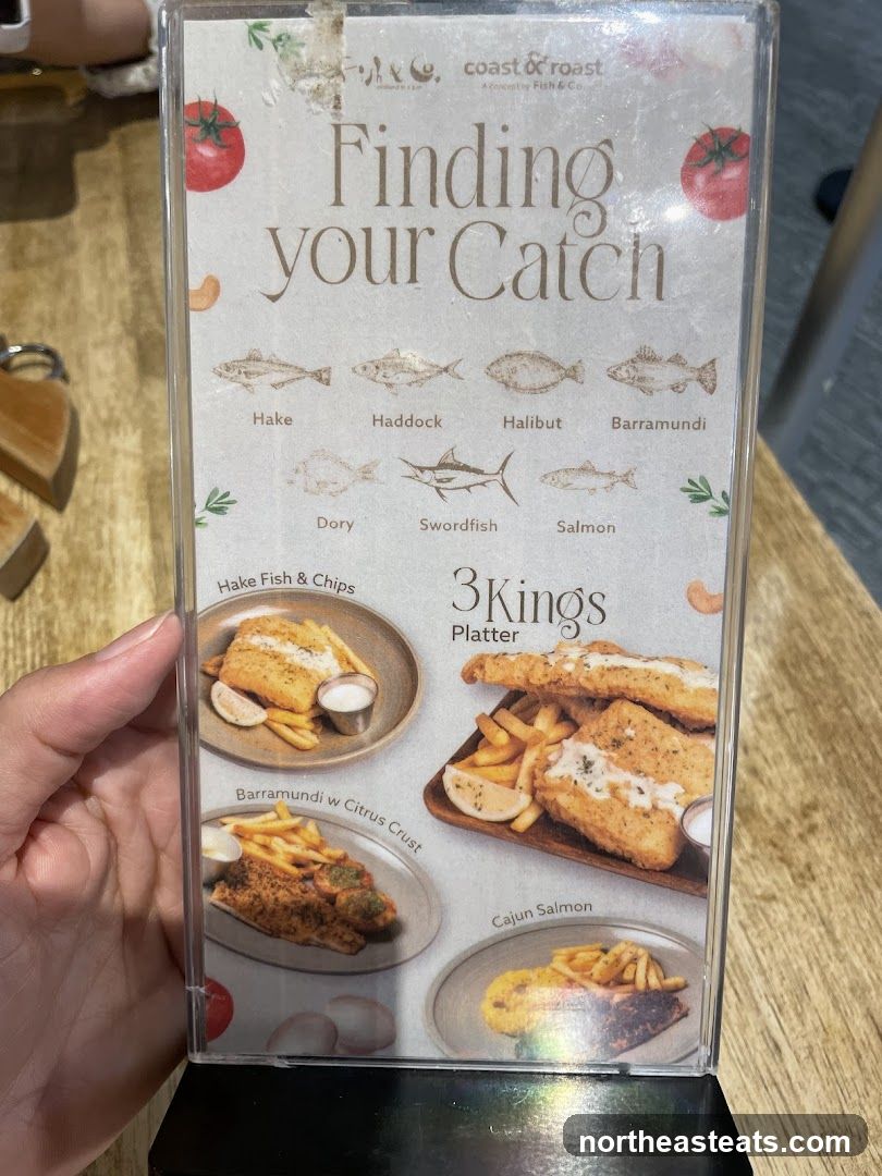 Finding your Catch