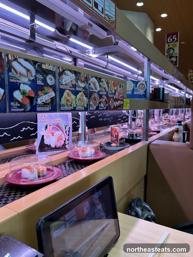 Sushi Conveyor Belt