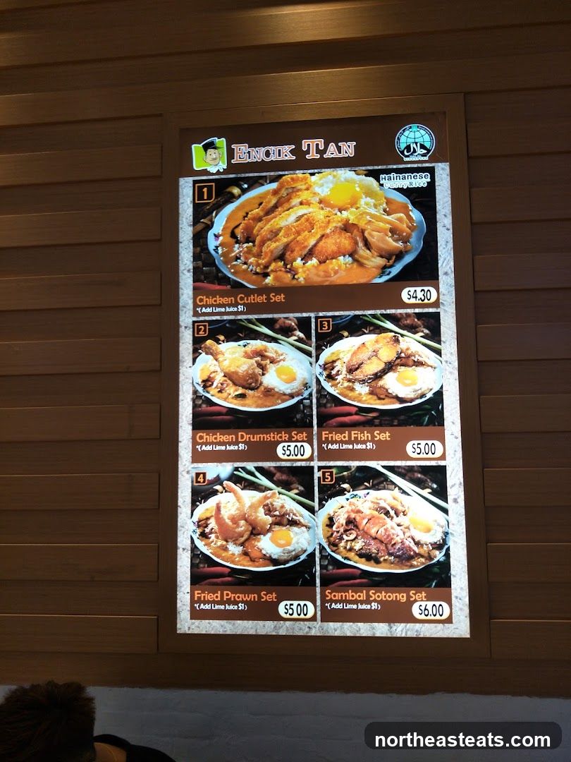 ENCIK TAN Hainanese Curry Rice
