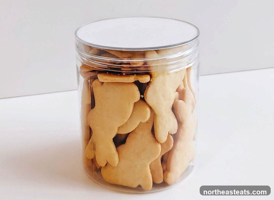 Jar of Animal-Shaped Cookies