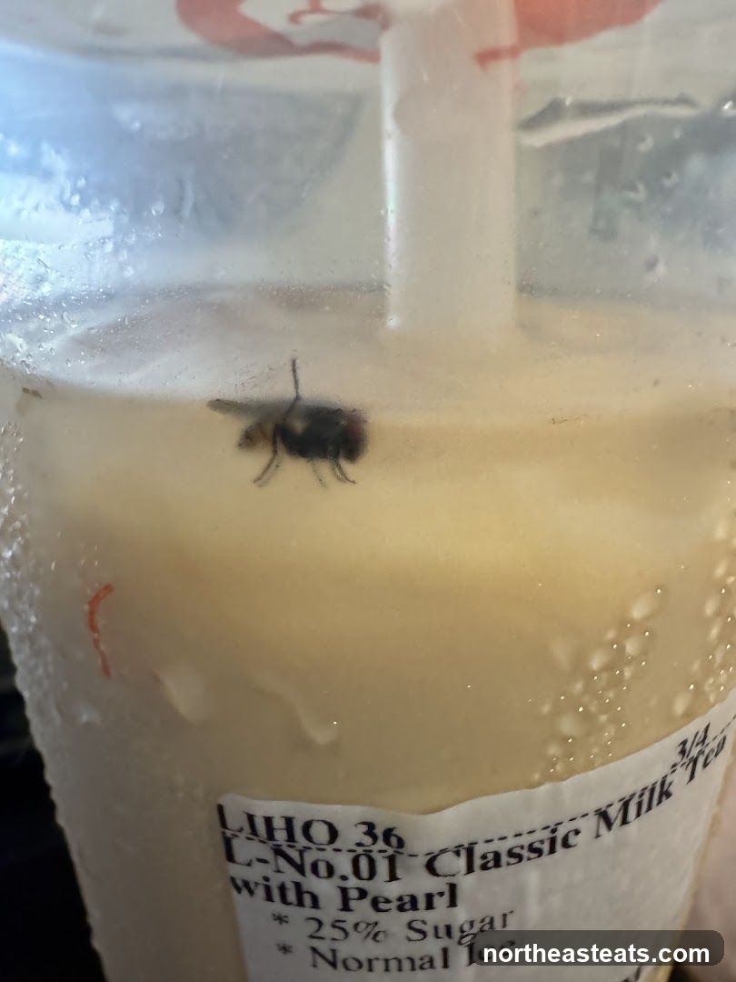 Fly in Milk Tea
