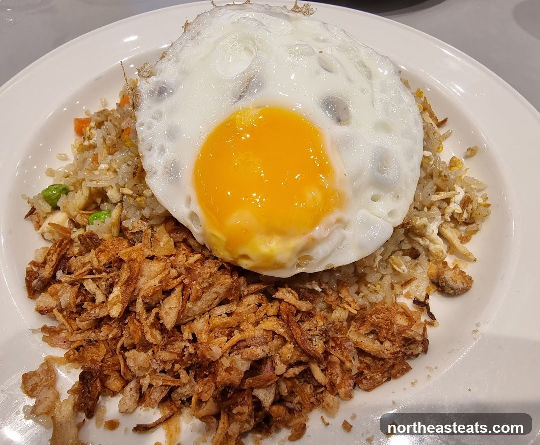 Fried Rice with Fried Egg