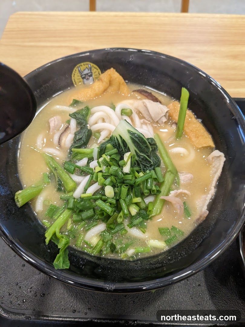 Udon Noodle Soup