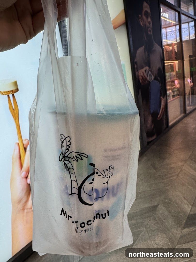 Mr. Coconut Bag