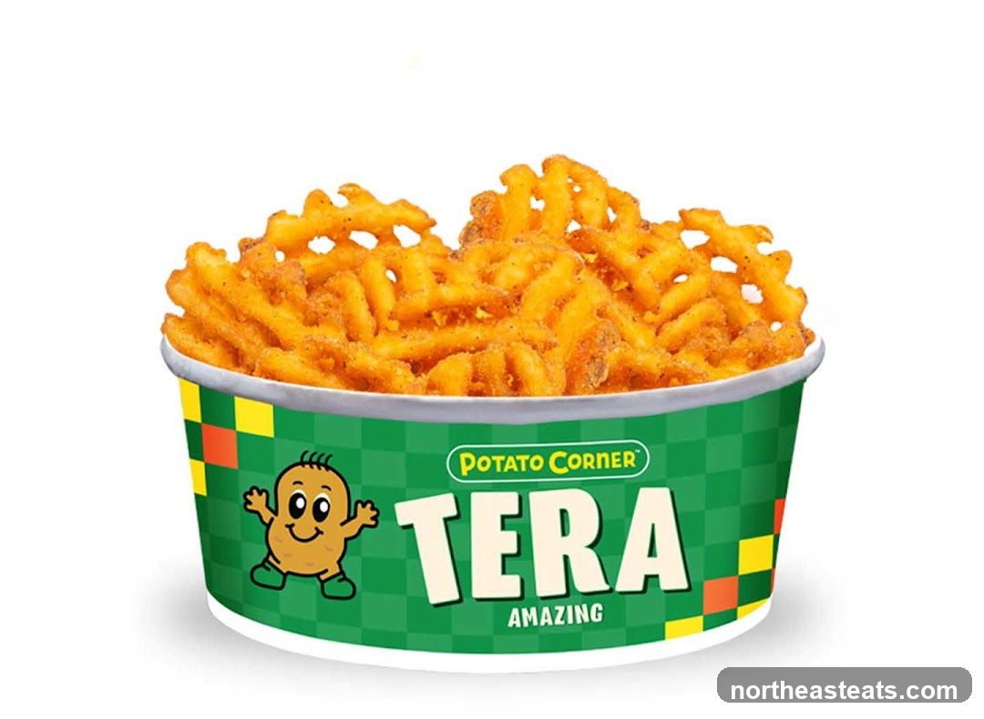 Potato Corner Tera Fries