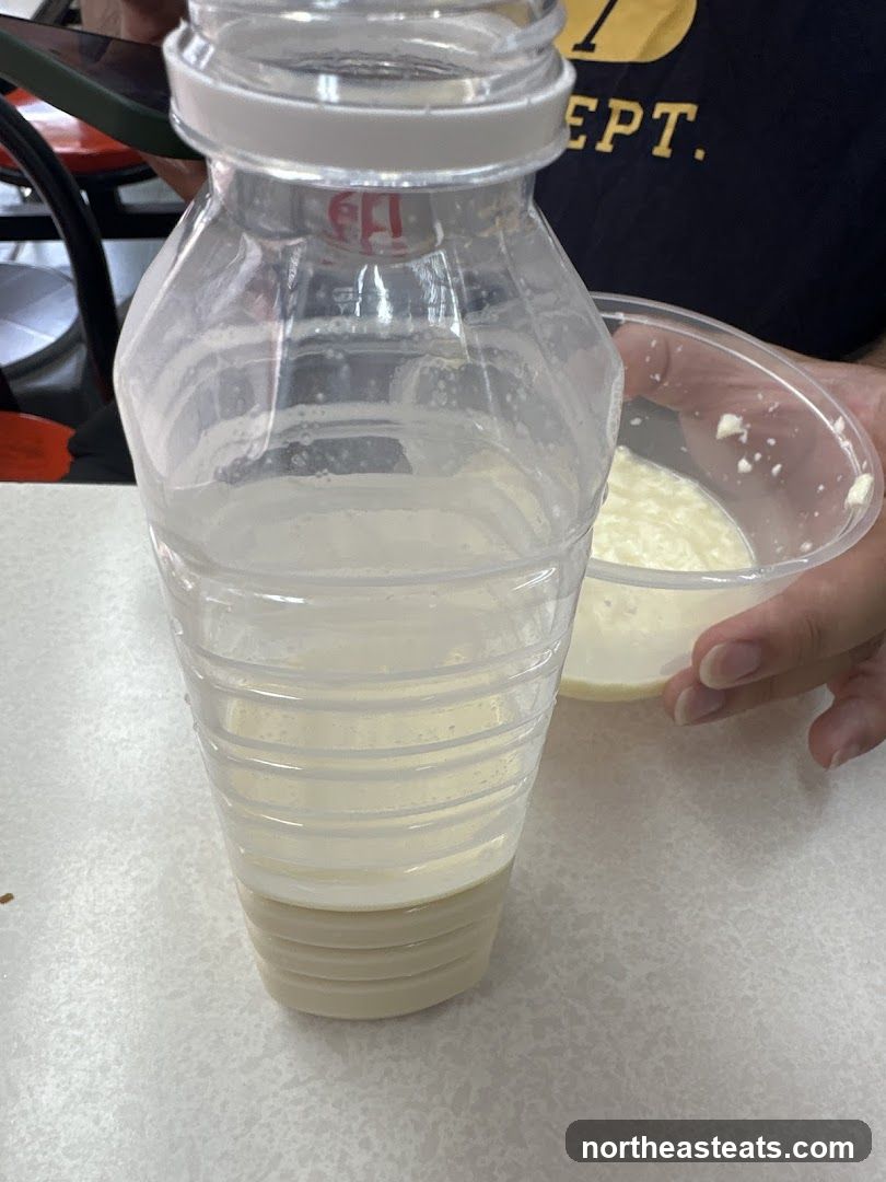Dairy Drink