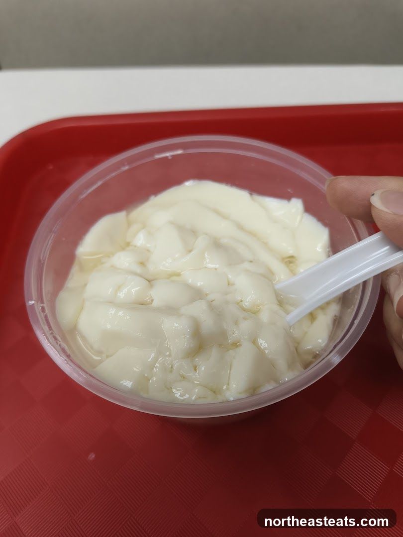 Tofu Pudding