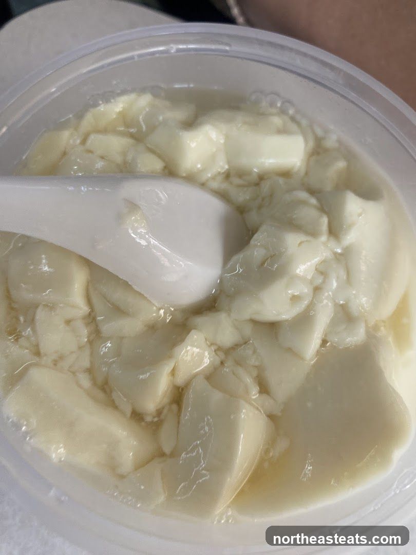 Tofu Pudding