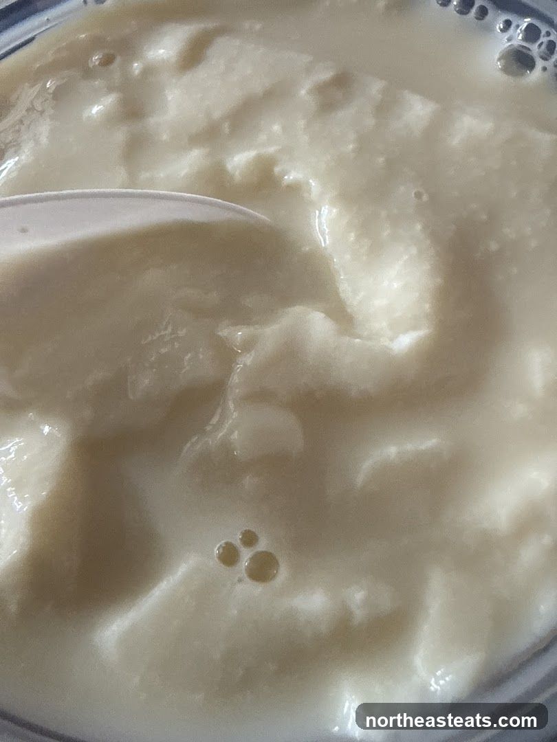 Close-up of Yogurt with Spoon